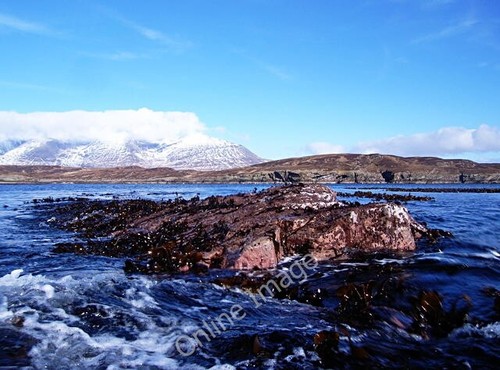 Photo 6x4 coileach - photo, an